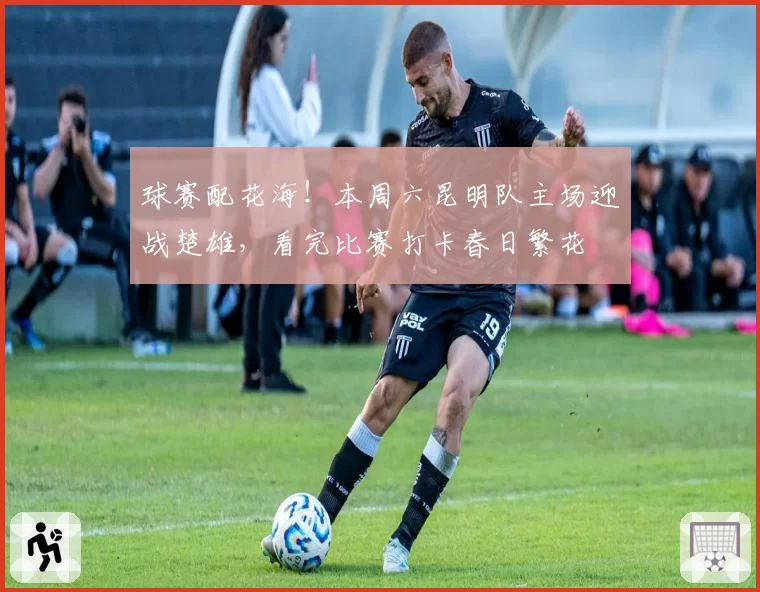 球赛配花海！本周六昆明队主场迎战楚雄，看完比赛打卡春日繁花